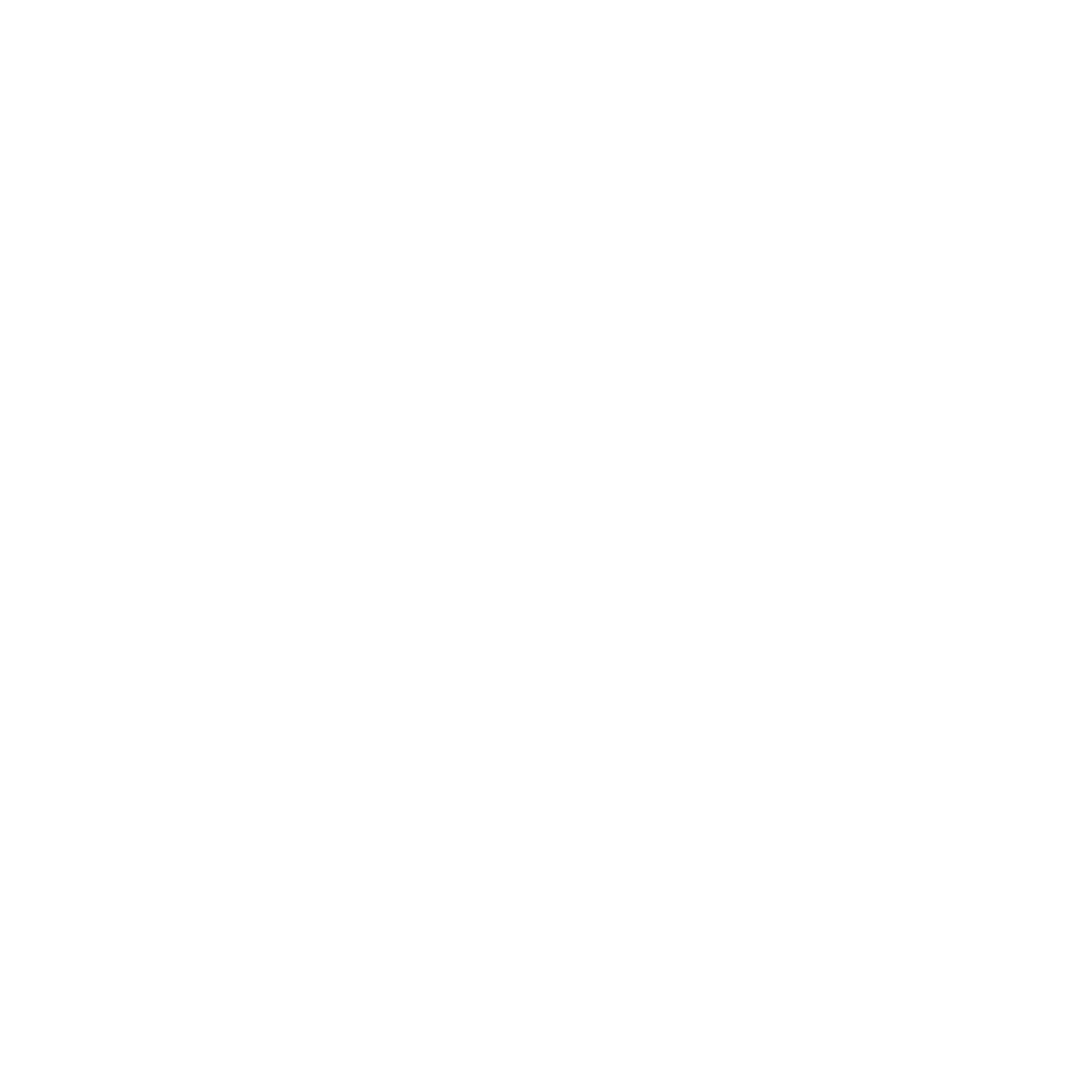 Transportes NMB